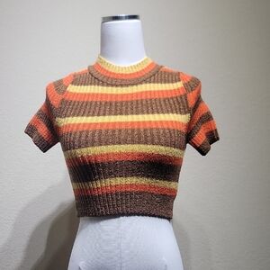 Debut Multicolor Striped Crop Top